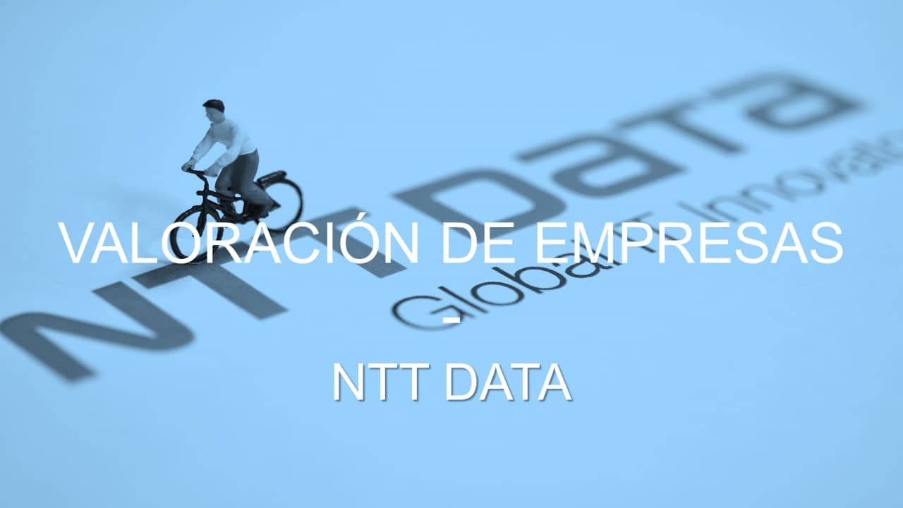 NTT DATA Payment Services India Ltd., Financial service