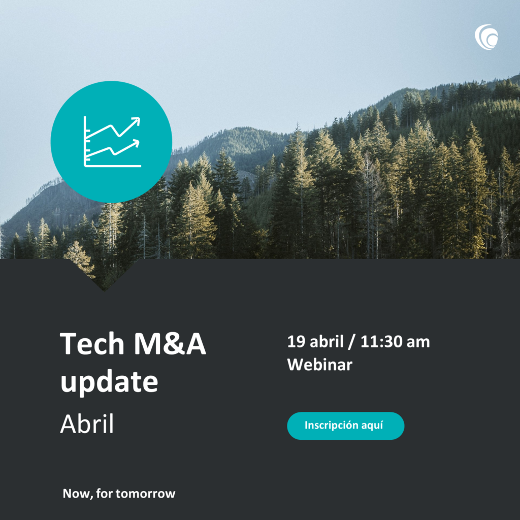 Webinar "Tech M&A Update" April 2024 - Buy&Build investment model
